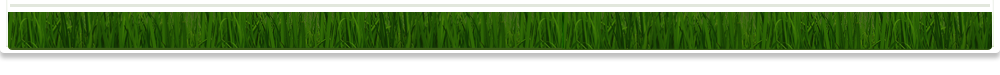make a website